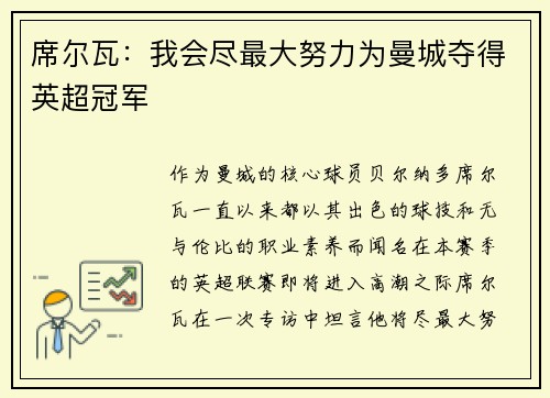 席尔瓦：我会尽最大努力为曼城夺得英超冠军