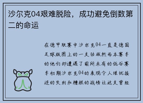 沙尔克04艰难脱险，成功避免倒数第二的命运