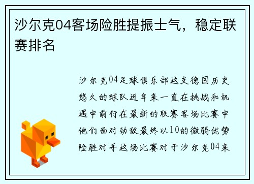 沙尔克04客场险胜提振士气，稳定联赛排名
