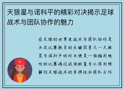 天狼星与诺科平的精彩对决揭示足球战术与团队协作的魅力