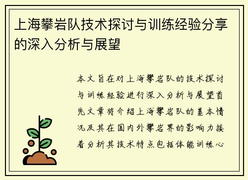 上海攀岩队技术探讨与训练经验分享的深入分析与展望